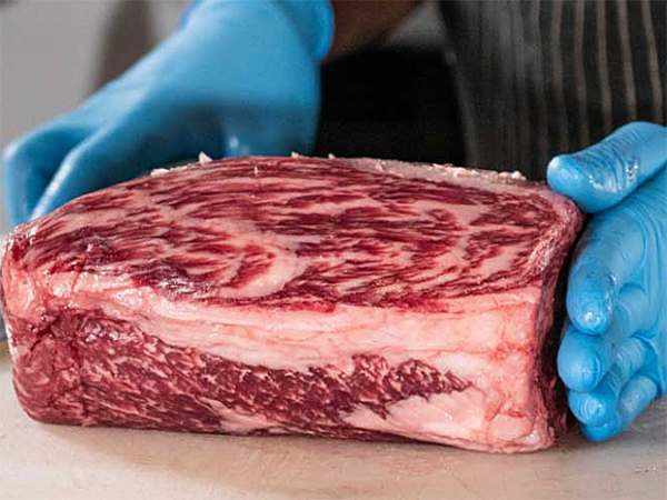 南非高品质和牛肉